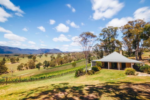 Luxury Blue Mountains Tour With Aussie BBQ Lunch And Wine Tasting - Newcastle Accommodation 5