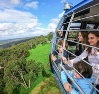 Peninsula Hot Springs tour with restaurant lunch  gondola ride - Newcastle Accommodation
