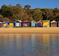 Mornington Peninsula Small Group day tour - Newcastle Accommodation