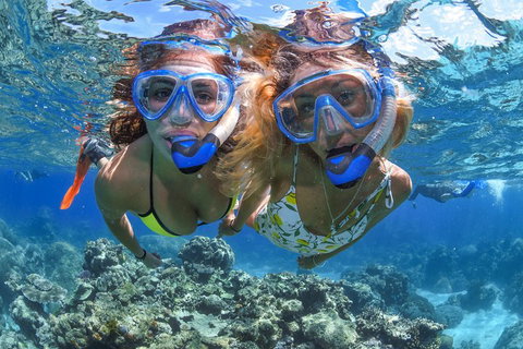 Great Barrier Reef Snorkeling And Diving Cruise From Cairns - Newcastle Accommodation 3