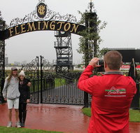 Full-Day Sports and Beer Tour of Melbourne with Lunch - Newcastle Accommodation