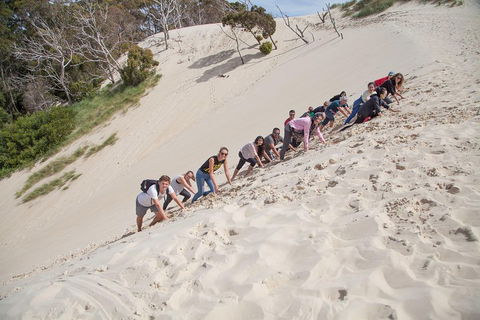 3 Day Tasmanian Wild West Coast Tour From Hobart To Launceston - Newcastle Accommodation 2