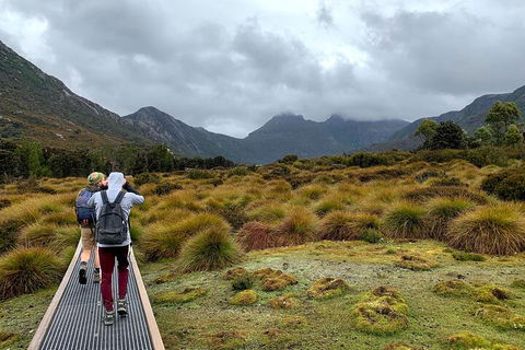 3 Day Tasmanian Wild West Coast Tour From Hobart To Launceston - Newcastle Accommodation 3