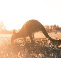 Small Group Mornington Peninsula Hike and Hot Springs Day Tour from Melbourne - Newcastle Accommodation