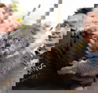 Bonorong Wildlife Park and Richmond Afternoon Tour from Hobart - New Castle Tourism