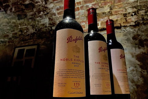 The Ultimate Penfolds Magill Estate Wine & Underground Cellar Tour - Newcastle Accommodation 5