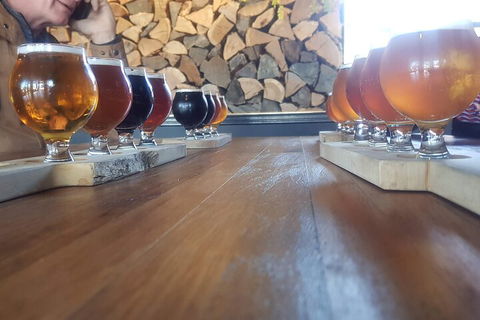 Mt. Wellington Morning Hike + Afternoon Beer & History Walk - Newcastle Accommodation 2