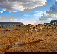 Mount Conner 4WD Small Group Tour from Ayers Rock including Dinner - Newcastle Accommodation