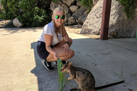 Magnetic Island Tour: Maggie Comprehensive - Newcastle Accommodation 2