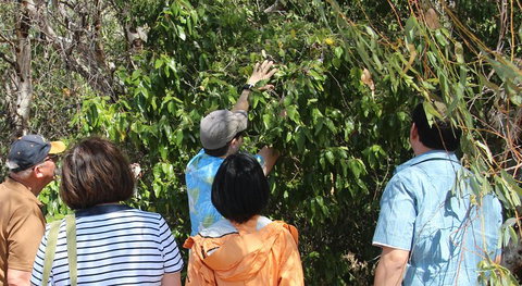 Magnetic Island Tour: Maggie Comprehensive - Newcastle Accommodation 4