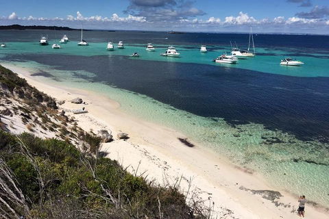 Experience Rottnest With Ferry & Bike Hire From Perth Or Fremantle - Newcastle Accommodation 0