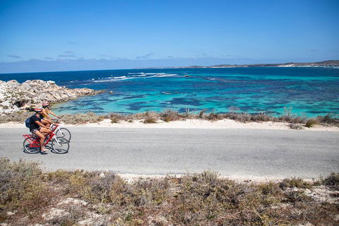 Experience Rottnest With Ferry & Bike Hire From Perth Or Fremantle - Newcastle Accommodation 2