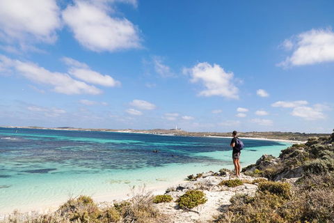 Experience Rottnest With Ferry & Bike Hire From Perth Or Fremantle - Newcastle Accommodation 3