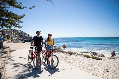 Experience Rottnest With Ferry & Bike Hire From Perth Or Fremantle - Newcastle Accommodation 4
