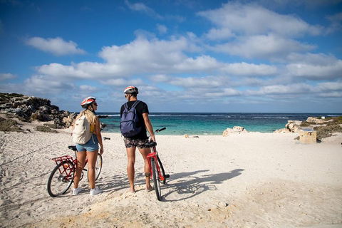 Experience Rottnest With Ferry & Bike Hire From Perth Or Fremantle - Newcastle Accommodation 5
