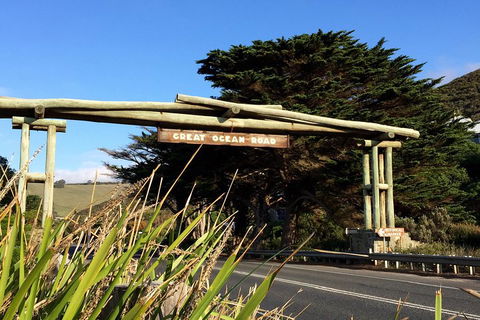 Melbourne Super Saver: Great Ocean Road + Wilsons Promontory + Attraction Pass - Newcastle Accommodation 1