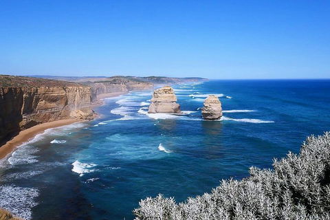 Melbourne Super Saver: Great Ocean Road + Wilsons Promontory + Attraction Pass - Newcastle Accommodation 5