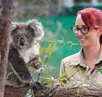 Small-Group Phillip Island Penguin Parade Day Tour from Melbourne - Newcastle Accommodation