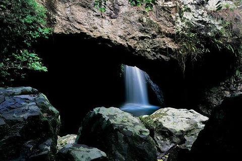 Springbrook National Park & Gold Coast Full Day Luxury Tour From Brisbane - Newcastle Accommodation 2