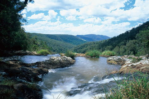 Springbrook National Park & Gold Coast Full Day Luxury Tour From Brisbane - Newcastle Accommodation 3