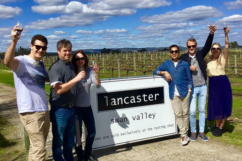 Swan Valley Tour From Perth: Wine, Beer And Chocolate Tastings - Newcastle Accommodation 1
