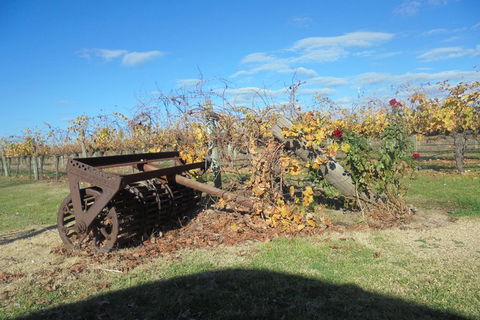 Swan Valley Tour From Perth: Wine, Beer And Chocolate Tastings - Newcastle Accommodation 3