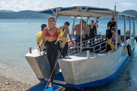 Fitzroy Island Day Trip From Cairns - Newcastle Accommodation 5