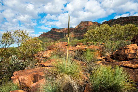 6-Day Eyre Peninsula & Flinders Ranges Adventure Tour - Newcastle Accommodation 1