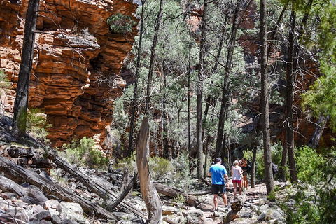 6-Day Eyre Peninsula & Flinders Ranges Adventure Tour - Newcastle Accommodation 5