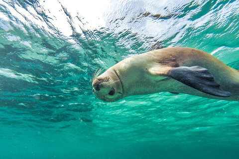 10-Day Adelaide To Perth Adventure Tour - New Castle Tourism 1