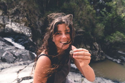 Springbrook AndTamborine Rainforest Tour Incl Natural Bridge And Glow Worm Cave - Newcastle Accommodation 1
