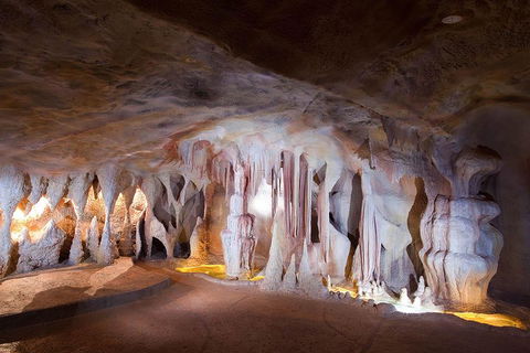 Springbrook AndTamborine Rainforest Tour Incl Natural Bridge And Glow Worm Cave - Newcastle Accommodation 4