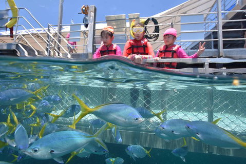 Outer Reef Pontoon Experience From Cairns - Newcastle Accommodation 0