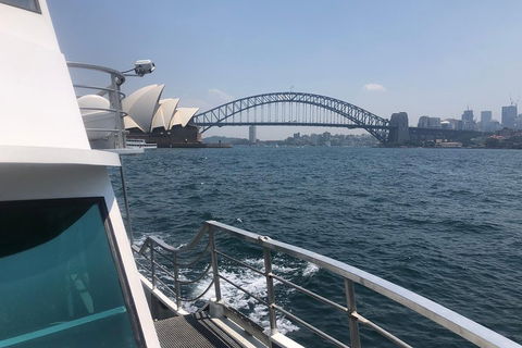 Sydney Harbour Discovery Cruise Including Lunch - Newcastle Accommodation 3
