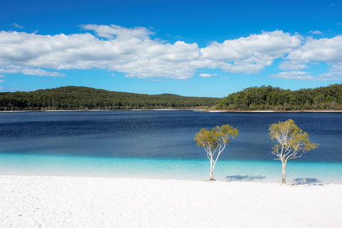 All-Inclusive Fraser Island Day Tour - New Castle Tourism 3
