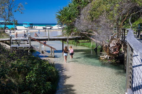 All-Inclusive Fraser Island Day Tour - New Castle Tourism 4