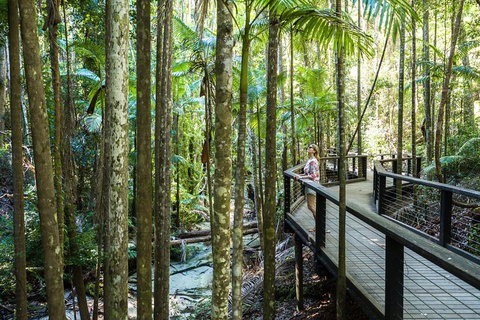 All-Inclusive Fraser Island Day Tour - New Castle Tourism 5