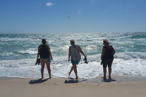 Very Best Of Perth Tour - Wildlife Park & City Highlights Tour - Newcastle Accommodation 5