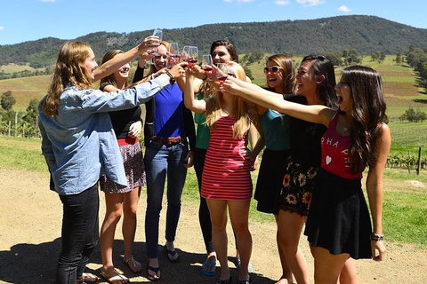 Hunter Valley Wine Tour From Sydney Incl Lunch, Cheese, Chocolate And Distillery - Newcastle Accommodation 3