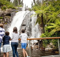 Lake Mountain Snow Trip including Yarra Valley Chocolaterie from Melbourne - Newcastle Accommodation