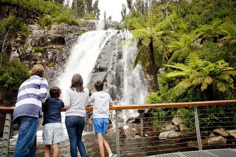 Lake Mountain Snow Trip Including Yarra Valley Chocolaterie From Melbourne - Newcastle Accommodation 0