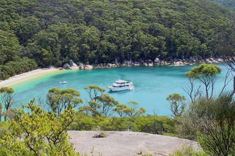 Wilsons Promontory Full Day Cruise - Newcastle Accommodation 2