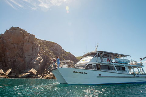 Wilsons Promontory Full Day Cruise - Newcastle Accommodation 3