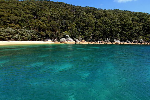 Wilsons Promontory Full Day Cruise - Newcastle Accommodation 4