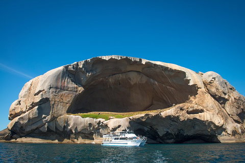 Wilsons Promontory Full Day Cruise - Newcastle Accommodation 5