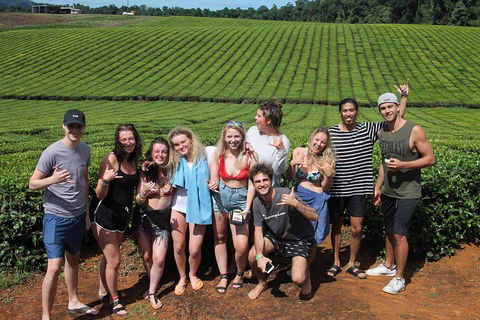 Atherton Tablelands Waterfalls Tour From Cairns - Newcastle Accommodation 1