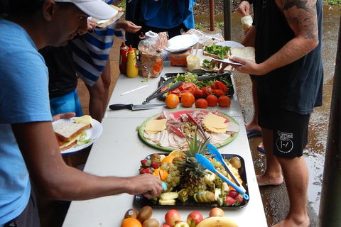 Atherton Tablelands Waterfalls Tour From Cairns - Newcastle Accommodation 2