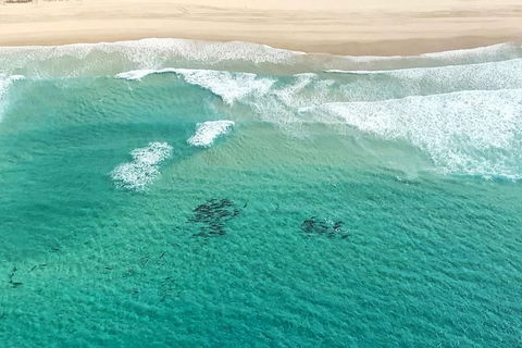 Coastal Helicopter Shared Flight - 20 Minutes - New Castle Tourism 4