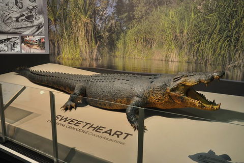 Explore Darwin City Sights Including Key Attractions - Newcastle Accommodation 2