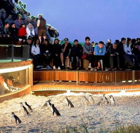 Great Ocean Road  Phillip Island - 3 Days 2 Nights - Newcastle Accommodation